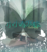 《小小春寒蝶》