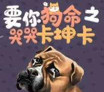 <b>《要你狗命之哭哭卡坤卡》</b>