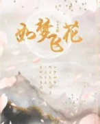 《如梦飞花》