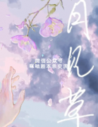 《月见草》