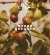 情感本《回家》