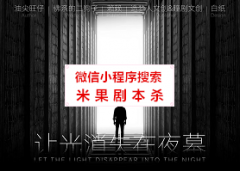 《让光消失在夜幕》