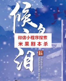 侯鸟之泪剧本杀