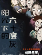 新本推荐《阳光下的六十度灰》