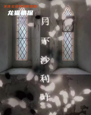 月下沙利叶剧本杀复盘