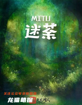 迷荼剧本杀复盘