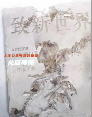 致新世界剧本杀我的玩本体验