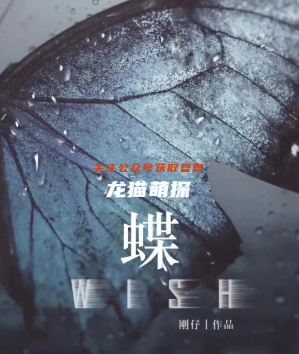 蝶•WISH剧本杀复盘