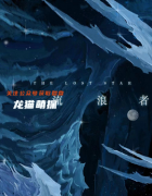 科幻本《流浪者》