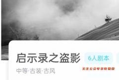 我是谜《启示录之盗影》