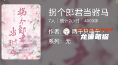 拐个郎君当驸马/百变大侦探