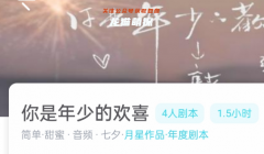 《你是年少的欢喜》我是谜