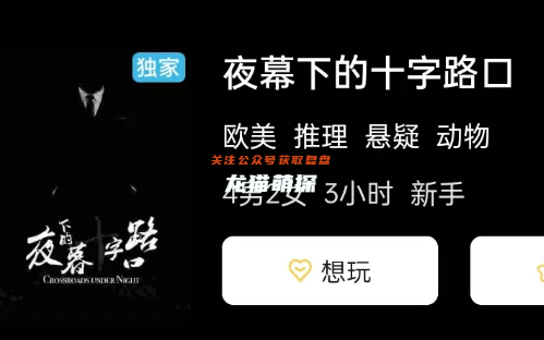 夜幕下的十字路口剧本杀