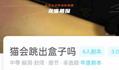 猫会跳出盒子吗（我是谜）