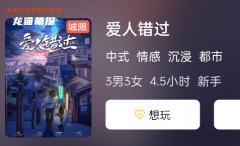 《爱人错过》