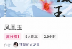<b>凤凰玉/我是谜</b>