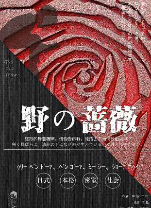 野的蔷薇剧本杀