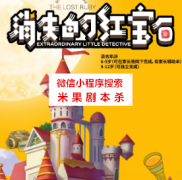 《消失的红宝石》