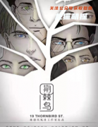 热议本《荆棘鸟》