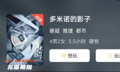 《多米诺的影子》