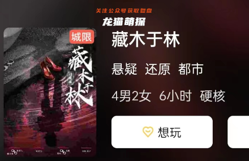 藏木于林剧本杀