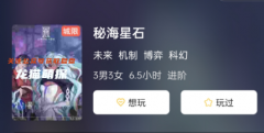 秘海星石