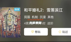 《和平婚礼2:雪落滨江》