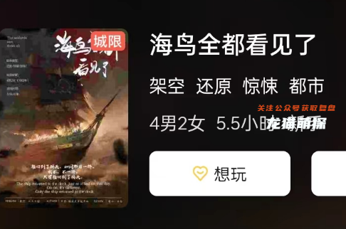 海鸟全都看见了剧本杀