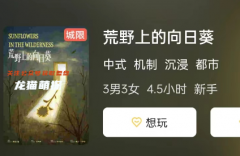 《荒野上的向日葵》