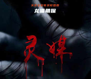 灵媒剧本杀