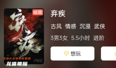 《弃疾》