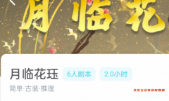 月临花珏/我是谜