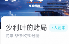 沙利叶的赌局/我是谜