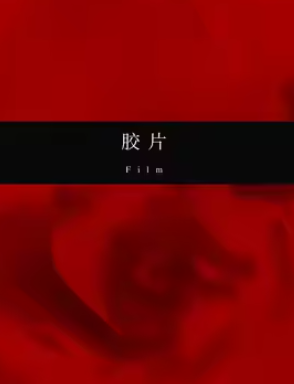 白昼2如果长夜无明剧本杀