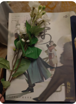 茉莉剧本杀