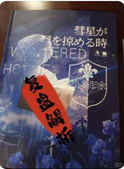 彗星掠过鸢屋时剧本杀